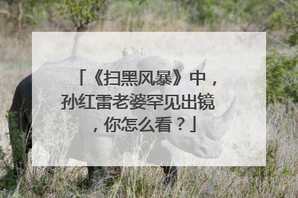 《扫黑风暴》中,孙红雷老婆罕见出镜,你怎么看?