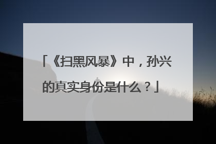 《扫黑风暴》中,孙兴的真实身份是什么?