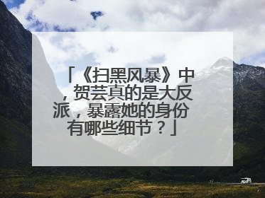 《扫黑风暴》中,贺芸真的是大反派,暴露她的身份有哪些细节?