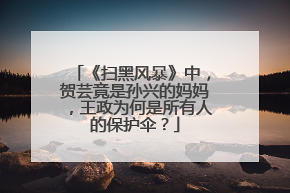 《扫黑风暴》中，贺芸竟是孙兴的妈妈，王政为何是所有人的保护伞？