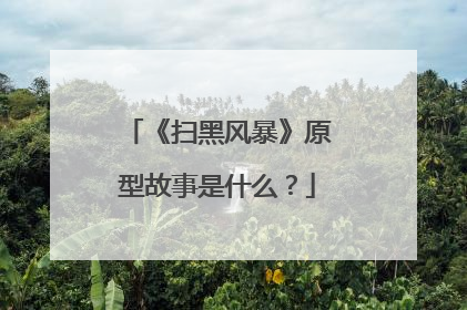 《扫黑风暴》原型故事是什么?
