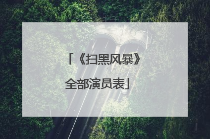 《扫黑风暴》全部演员表