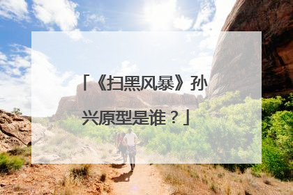《扫黑风暴》孙兴原型是谁？