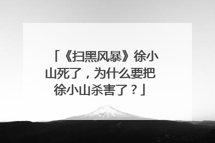《扫黑风暴》徐小山死了,为什么要把徐小山杀害了?