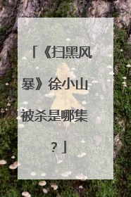 《扫黑风暴》徐小山被杀是哪集?