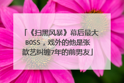《扫黑风暴》幕后最大BOSS，戏外的他是张歆艺纠缠7年的前男友
