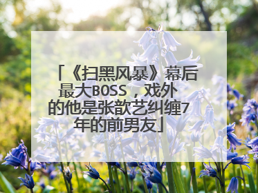 《扫黑风暴》幕后最大BOSS,戏外的他是张歆艺纠缠7年的前男友