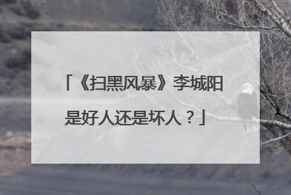 《扫黑风暴》李城阳是好人还是坏人？