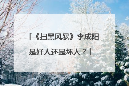 《扫黑风暴》李成阳是好人还是坏人?