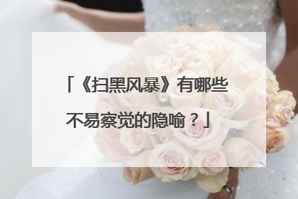 《扫黑风暴》有哪些不易察觉的隐喻？