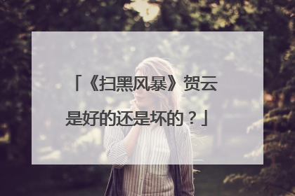 《扫黑风暴》贺云是好的还是坏的?