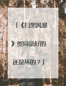 《扫黑风暴》贺局是好的还是坏的？