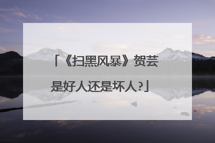 《扫黑风暴》贺芸是好人还是坏人?