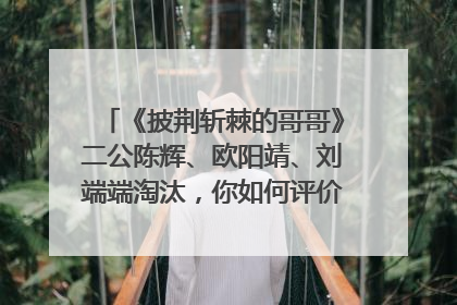 《披荆斩棘的哥哥》二公陈辉、欧阳靖、刘端端淘汰,你如何评价他们的表现?