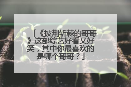 《披荆斩棘的哥哥》这部综艺好看又好笑,其中你最喜欢的是哪个哥哥?