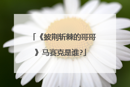 《披荆斩棘的哥哥》马赛克是谁?