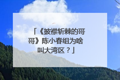 《披襟斩棘的哥哥》陈小春组为啥叫大湾区?