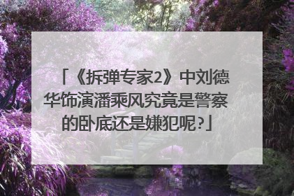 《拆弹专家2》中刘德华饰演潘乘风究竟是警察的卧底还是嫌犯呢?