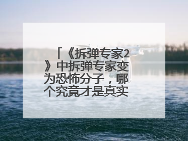 《拆弹专家2》中拆弹专家变为恐怖分子，哪个究竟才是真实的潘乘风呢？