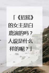 《招摇》的女主是白鹿演的吗？人设是什么样的呢？