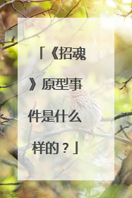 《招魂》原型事件是什么样的?