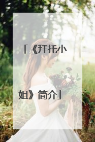 《拜托小姐》简介