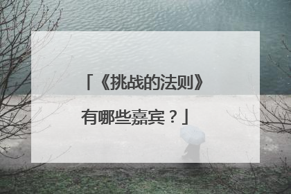 《挑战的法则》有哪些嘉宾?