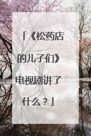《松药店的儿子们》电视剧讲了什么?