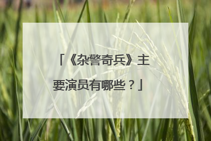 《杂警奇兵》主要演员有哪些?