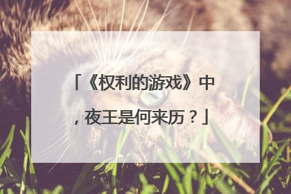 《权利的游戏》中，夜王是何来历？