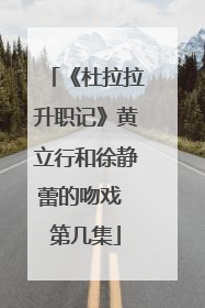 《杜拉拉升职记》黄立行和徐静蕾的吻戏 第几集
