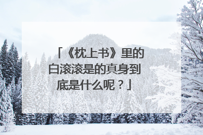《枕上书》里的白滚滚是的真身到底是什么呢？