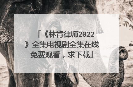 《林肯律师2022》全集电视剧全集在线免费观看，求下载