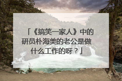 《搞笑一家人》中的研员朴海美的老公是做什么工作的呀？