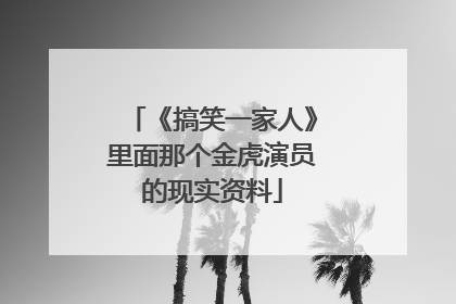 《搞笑一家人》里面那个金虎演员的现实资料