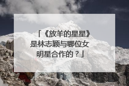 《放羊的星星》是林志颖与哪位女明星合作的？