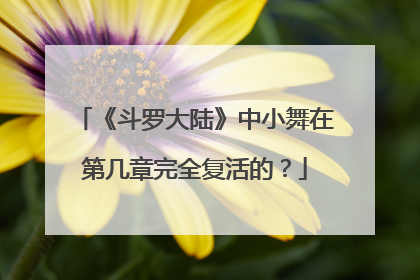 《斗罗大陆》中小舞在第几章完全复活的?