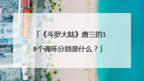 《斗罗大陆》唐三的18个魂环分别是什么?