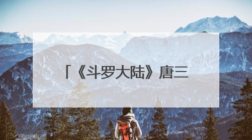 《斗罗大陆》唐三有20个魂环吗?