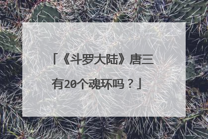 《斗罗大陆》唐三有20个魂环吗?