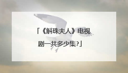 《斛珠夫人》电视剧一共多少集?
