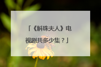 《斛珠夫人》电视剧共多少集？