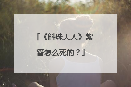 《斛珠夫人》紫簪怎么死的?