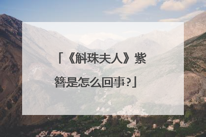 《斛珠夫人》紫簪是怎么回事?