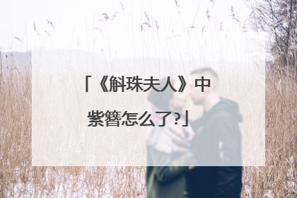 《斛珠夫人》中紫簪怎么了?