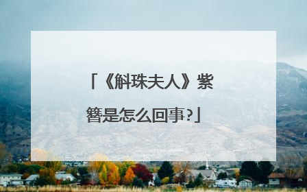 《斛珠夫人》紫簪是怎么回事?