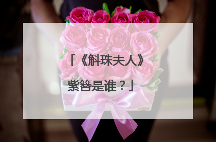 《斛珠夫人》紫簪是谁？