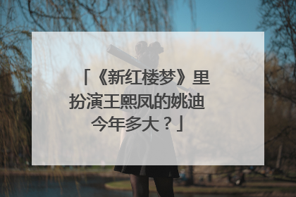 《新红楼梦》里扮演王熙凤的姚迪今年多大？