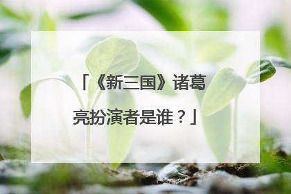 《新三国》诸葛亮扮演者是谁？