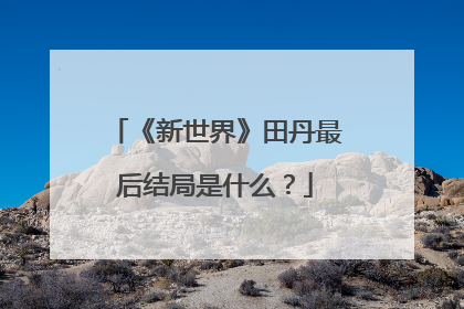 《新世界》田丹最后结局是什么？